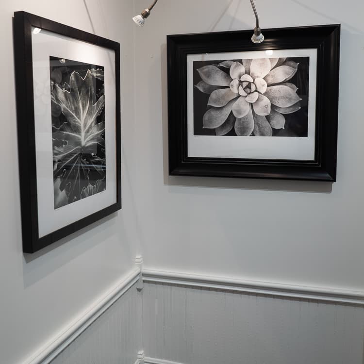 Art displayed in a considered home